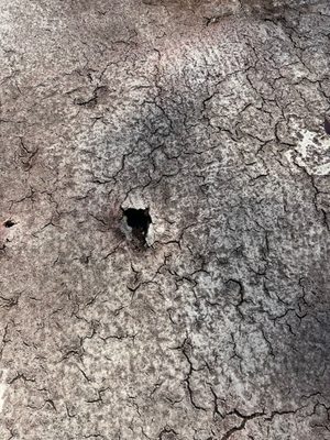 Elsner Roofing Service Logo