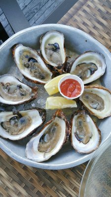 Carr's Oyster Bar by null