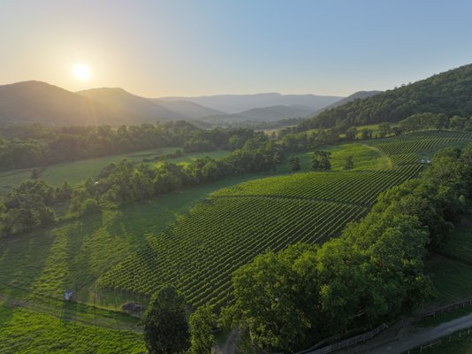 Quièvremont Vineyard & Winery by null