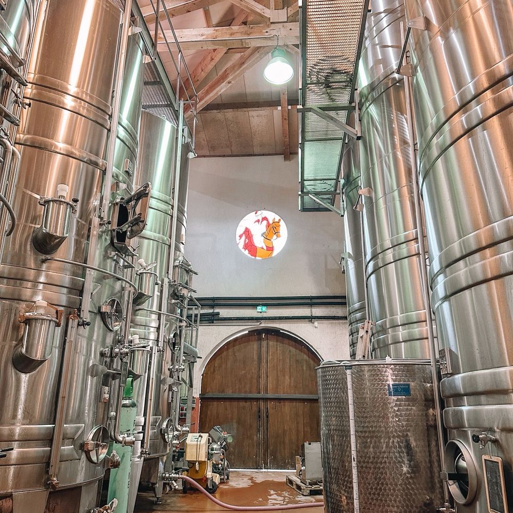 Azur Wine Tours - Wine Tours Near Me - Vence, 06