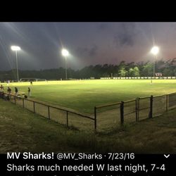 Martha's Vineyard Sharks - Shark tank