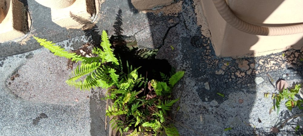 Slide of Deras Roofing & Remodelacio