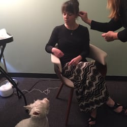 Northshore Acupuncture Center - Lucy watching a treatment - Lucy isn't always in the office