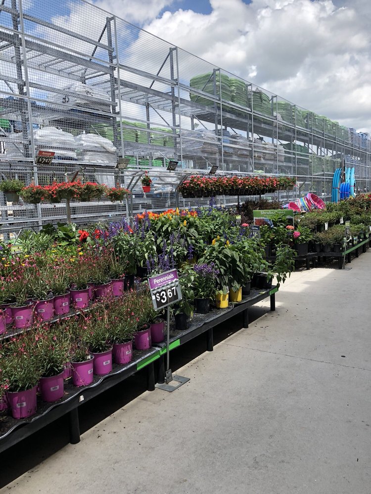 WALMART GARDEN CENTER 11 Photos 1575 Land O Lakes Blvd, Lutz, FL Yelp