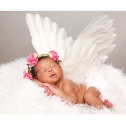 Hollywood Photo Studios - Newborn photo