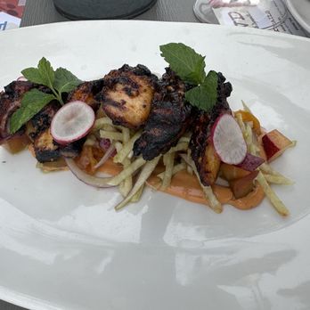 Fishing With Dynamite - Oct Grilled Wild Spanish Octopus - Seafood Near Me - Manhattan Beach, California Fishing With Dynamite - Oct Grilled Wild Spanish Octopus - Seafood Near Me - Manhattan Beach, California