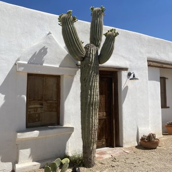 CoCol Cafe - I don't know where this food leads, but look at that hero of a cactus. - Cafes Near Me - Socorro, Texas