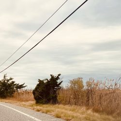 Reeds Beach - Road to Reeds Beach