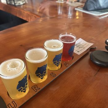 Ursa Minor Brewing - Flight 1 - Brewpubs Near Me - Duluth, Minnesota Ursa Minor Brewing - Flight 1 - Brewpubs Near Me - Duluth, Minnesota