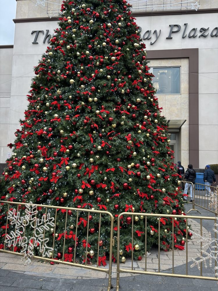 ALLSTAR KINDNESS INCORPORATED - social services organization in The Bronx, NY