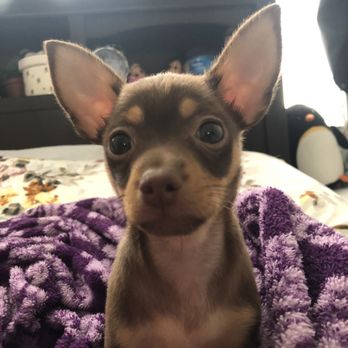 Pet Stop - Pet Stores Near Me - Rancho Cucamonga, California