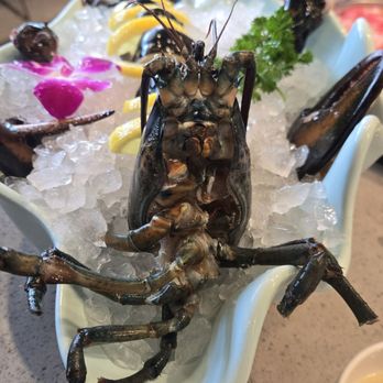 Haidilao Hotpot Flushing - Lobster - Hot Pot Near Me - Flushing, New York
