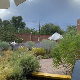 a patio with chairs and an umbrella - A garden patio scene with lush plants, a brick pathway, and umbrellas, set against a cloudy sky and a red brick wall.