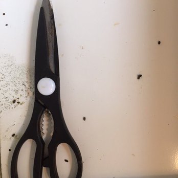 Mice Droppings In Kitchen Drawer Yelp