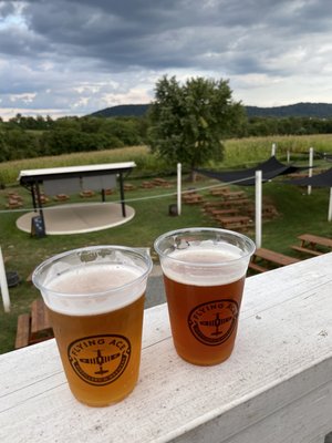 Flying Ace Farm by null