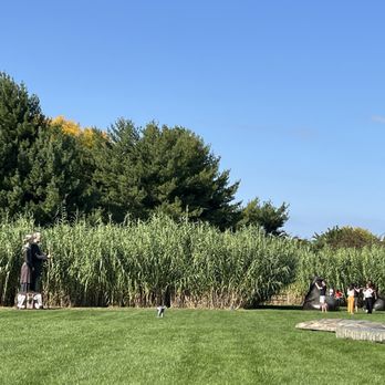 Grounds For Sculpture - The sculptures are tall vs the people - Museums Near Me - Hamilton, New Jersey