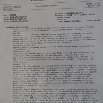 Diamond Oaks Ranch - UC Davis examination assessment - Pet Boarding Near Me - Murrieta, California