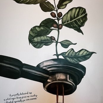 CFS Coffee - Coffee & Tea Near Me - Orlando, Florida CFS Coffee - Coffee & Tea Near Me - Orlando, Florida