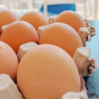 Egg Lab - Local Farm Eggs - Bakeries Near Me - Richmond, British Columbia