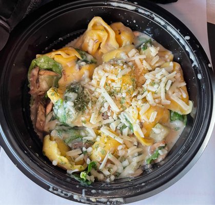 Noodles and Company by null