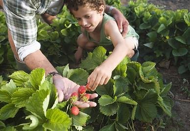 Little Angels School Of Modesto - childcare center in Modesto, CA