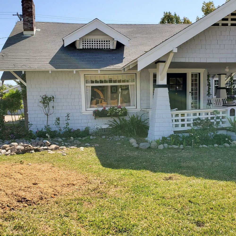 Tiger Tree Services - After tree and stump removal - Tree Services Near Me Tiger Tree Services - After tree and stump removal - Tree Services Near Me