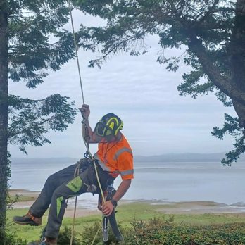 Tree Talk - Tree Services Near Me Tree Talk - Tree Services Near Me