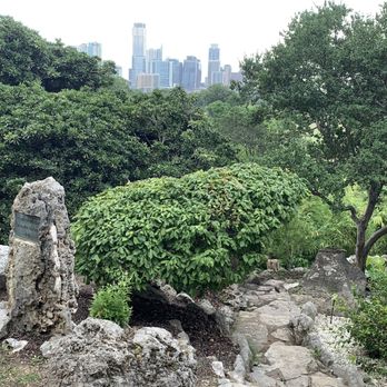 Zilker Botanical Gardens - Amazing view- contrast between city and nature - Botanical Gardens Near Me - Austin, Texas Zilker Botanical Gardens - Amazing view- contrast between city and nature - Botanical Gardens Near Me - Austin, Texas