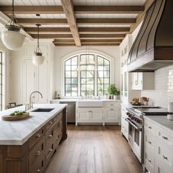 Wolf Remodeling and Design