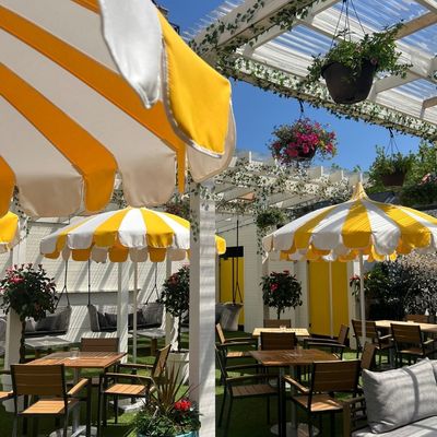 Paradise Park | Pizza & Patio by null