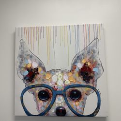 North Augusta Eye Care - Cutie needs the big vision