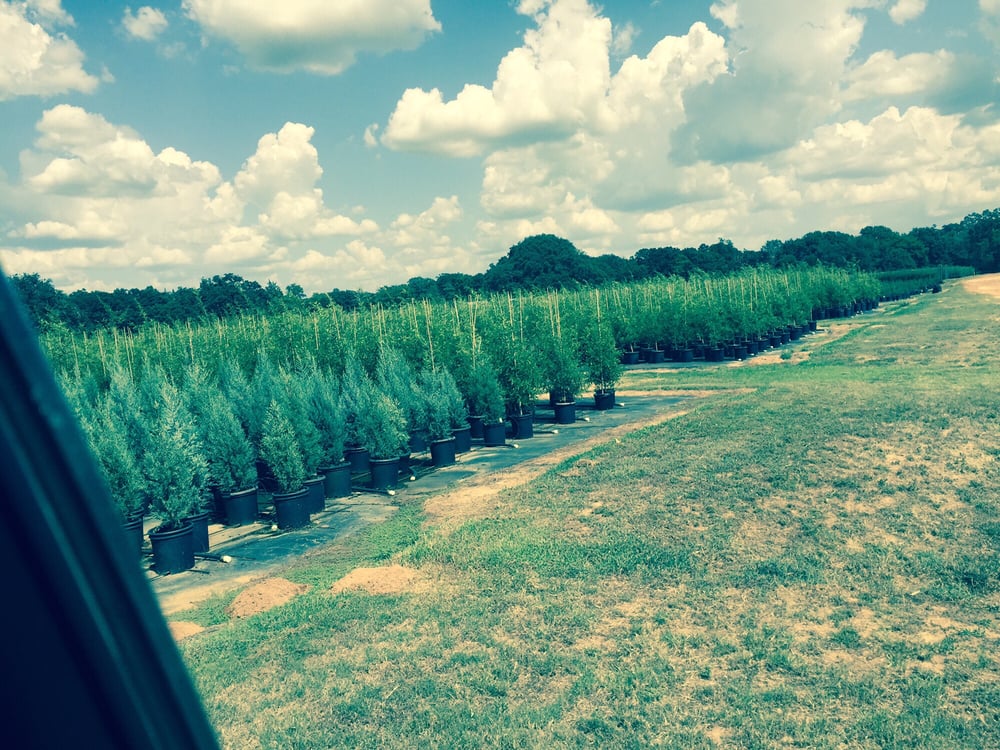 RENNERWOOD NURSERY Updated June 2024 1025 An County Rd 2810