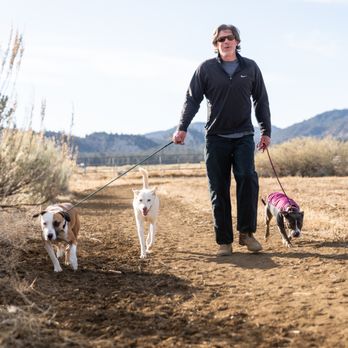 The Balanced Dog - Pet Training Near Me The Balanced Dog - Pet Training Near Me