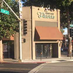 East Bay Flowers - Looks closed