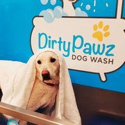 NASTY→DOG Nasty Critter! by Girl With The Dogs - Everyday Deep