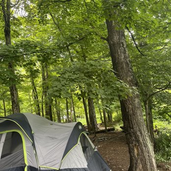 Phoenicia Black Bear Campground - Campgrounds Near Me - Phoenicia, New York Phoenicia Black Bear Campground - Campgrounds Near Me - Phoenicia, New York