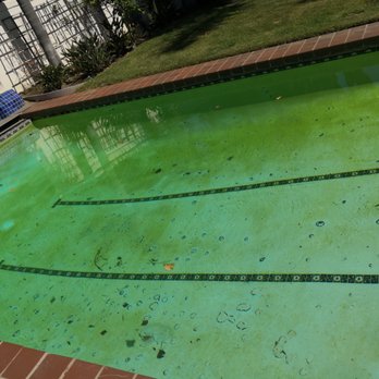 The Pool Pros - What our pool/spa look like after weekly service. - Pool Cleaners Near Me - Newport Beach, California
