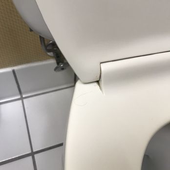 Pubic Hair On Toilet Seat Yelp