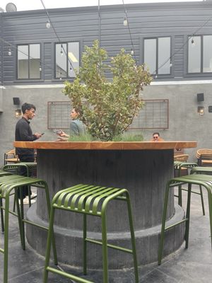 Bar Darling by null