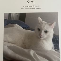 Poster produced by owner. Poster produced by owner.