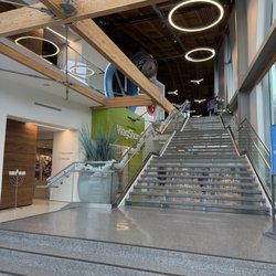 Wallis Annenberg PetSpace - Staircase