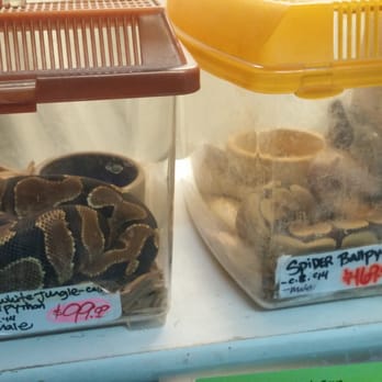 Mark's Ark - Pet Stores Near Me - Taylorsville, Utah Mark's Ark - Pet Stores Near Me - Taylorsville, Utah