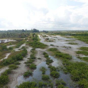 Robinson Preserve - view from the tower - Parks Near Me - Bradenton, Florida