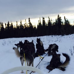 Jameson Kapec Sled Dog Adventures