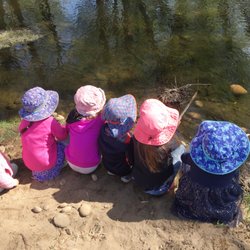 Mountain Phoenix Community School