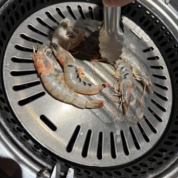 Gen Korean BBQ House - Shrimps medium size. - Korean Near Me - Glendale, California Gen Korean BBQ House - Shrimps medium size. - Korean Near Me - Glendale, California