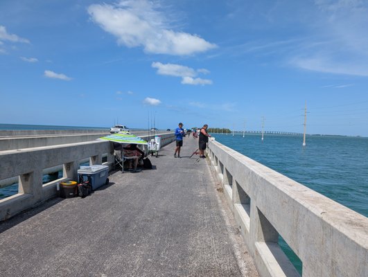 Seven Mile Bridge by null