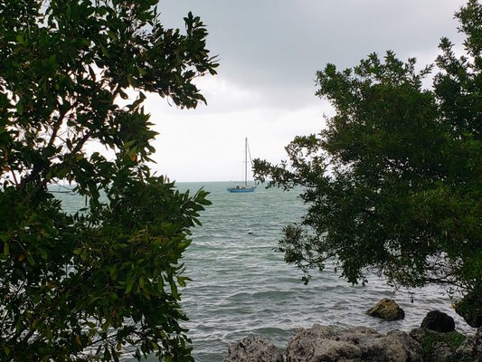 Seven Mile Bridge by null