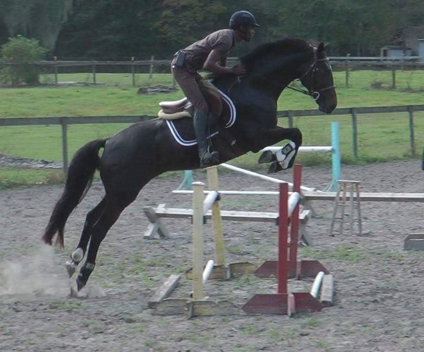 weeping willow farm - equestrian in Crocker, MO