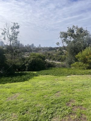 Golden Hill Park by null